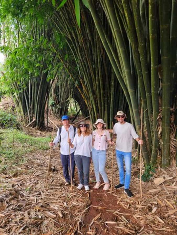 Nairobi: Purple Tea Farm Gatura Greens Day Trip - Who this tour suits best (and who might want another option)