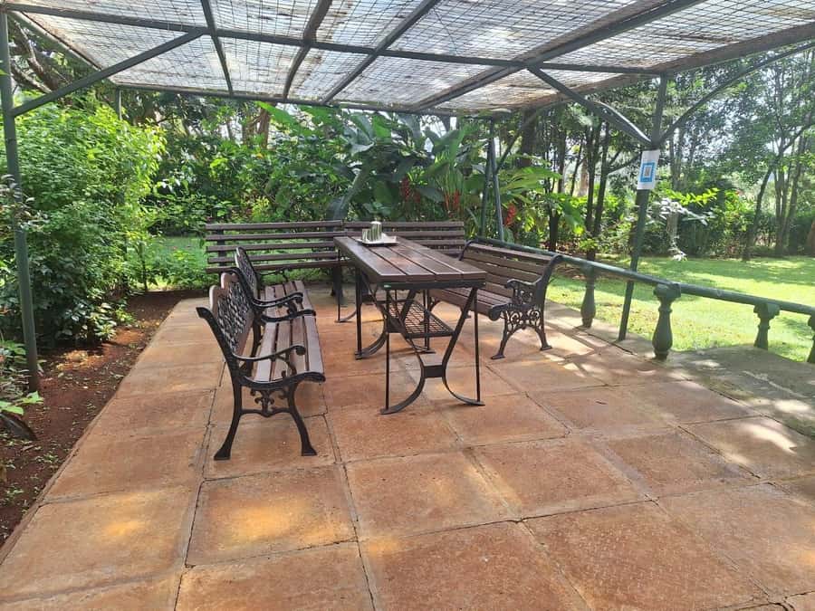 Nairobi: Tea Farm Day Trip with Lunch at kiambethu - Forest Trek to a Local Waterfall: A Cooler, Calmer Midday Break