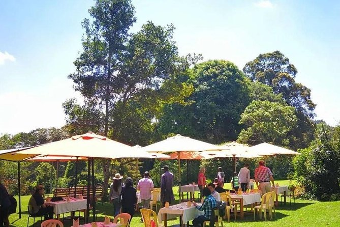Nairobi to Kiambethu Tea Farm Tour - Getting there from Nairobi: pickup, timing, and what to expect