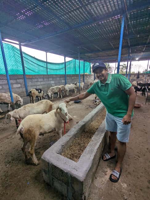 Nandi hills trek sunset or sunrise drive from Bangalore - Pickup, Timing, and How the Day Fits Into Bengaluru Life