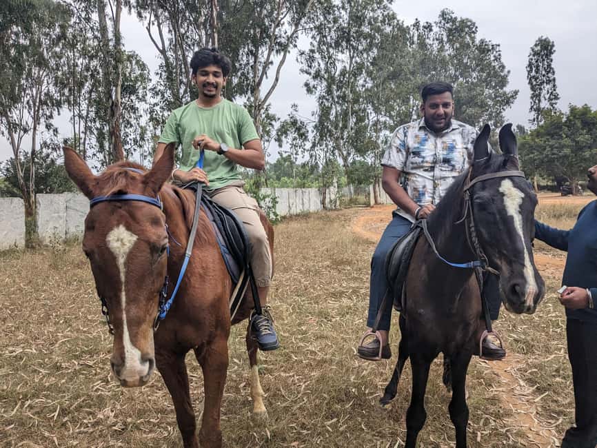 Nandi hills trek sunset or sunrise drive from Bangalore - Countryside Farming, Organic Fruit Tasting, and Animal Interactions