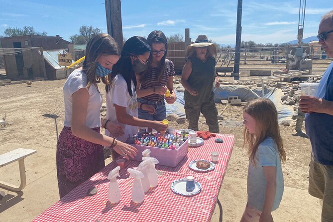 Nature Health Farms Alpaca Farm Petting Zoo Pahrump Death Valley - Your Petting Zoo Time: Alpacas, Ostriches, Donkeys, and the Rest