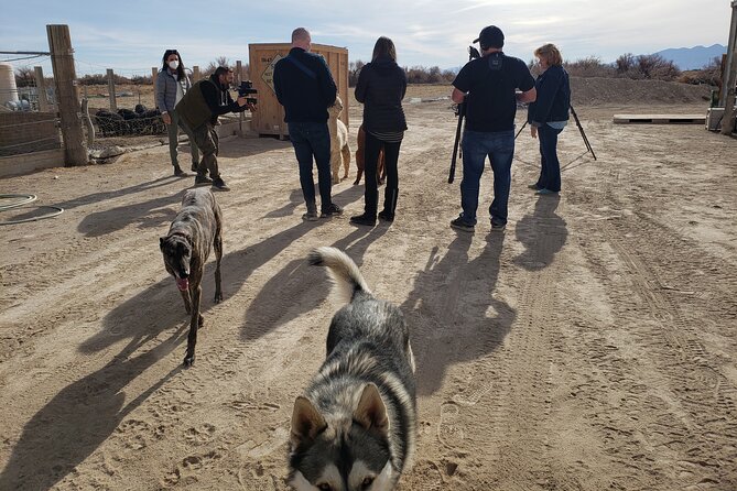 Nature Health Farms Alpaca Farm Petting Zoo Pahrump Death Valley - Hemp Farm and the Seasonal Reality Check