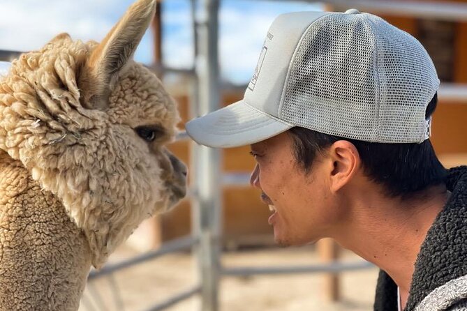 Nature Health Farms Alpaca Farm Petting Zoo Pahrump Death Valley - Timing Matters: Opening Hours and Why You Should Plan Your Arrival