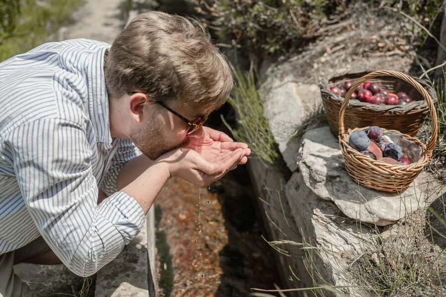 Naxos: Family Farm-table Cooking, Kouros Tour & Live Music - The garden tour: picking ingredients that actually shape lunch