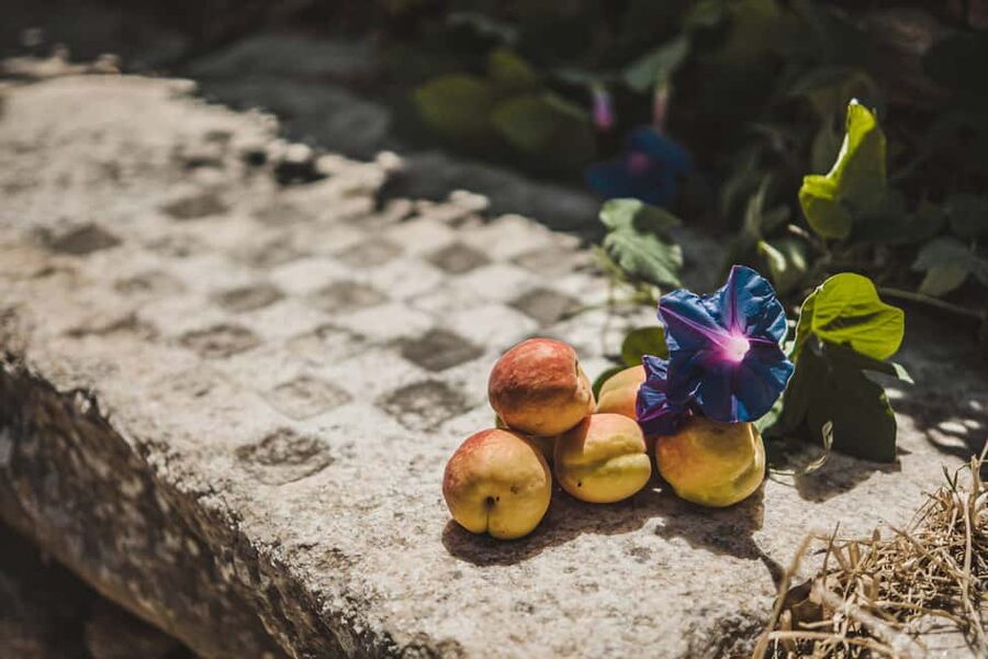 Naxos: Family Farm-table Cooking, Kouros Tour & Live Music - Cooking lesson on an open fire: what you’ll do