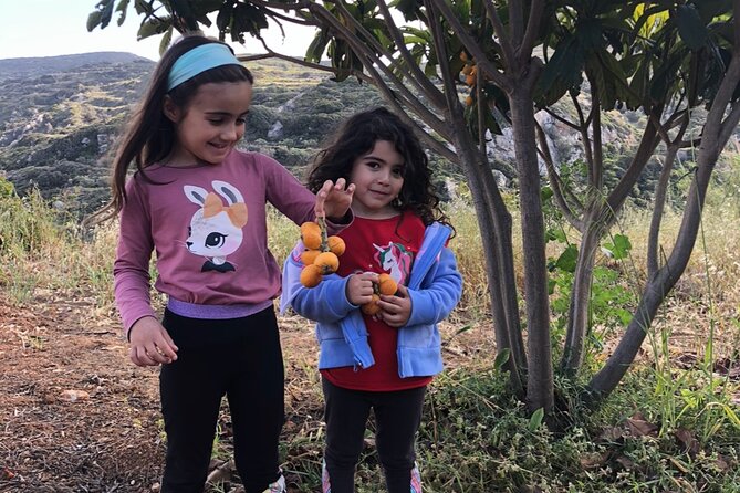 Naxos Perivoli Farm Experience & Wood-fire Cooking Class - Animal time that’s fun, but keep expectations realistic