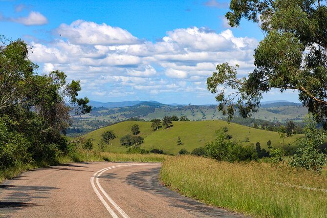 Newcastle: Country Towns River & Farm Tour with BBQ - Dungog and Tinshed Brewery: Craft Beer with Local Ownership