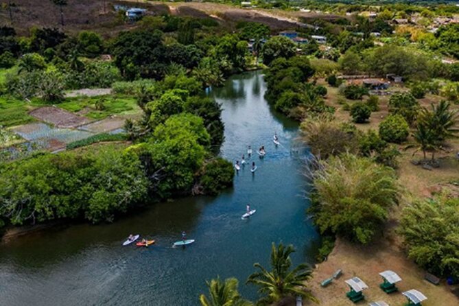 North Shore Farm: Anahulu River, Kayak-Sup, Turtles, Lunch & More - How the Anahulu River Paddle Works (Kayak, SUP, and Honu Watching)