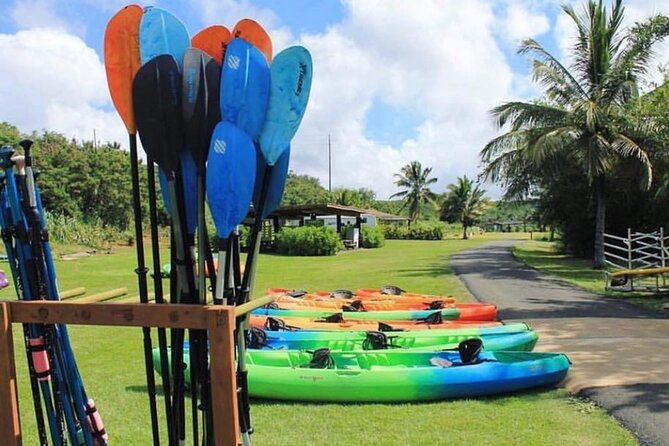 North Shore Farm: Anahulu River, Kayak-Sup, Turtles, Lunch & More - Who This Trip Fits Best (and Who Might Want Something Different)