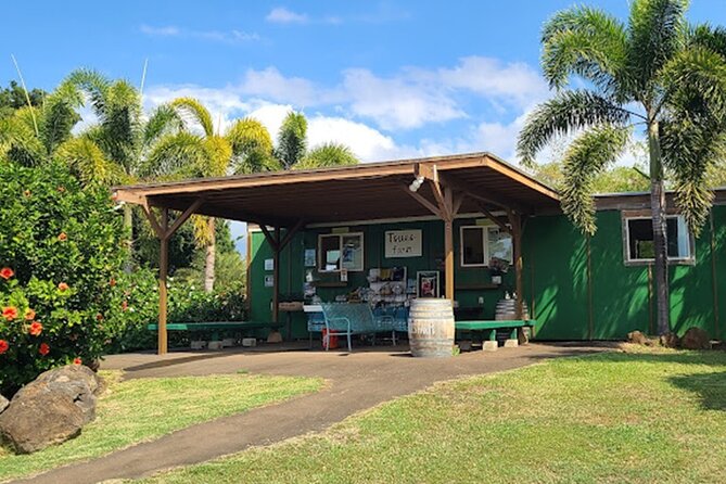North Shore Farm: Anahulu River, Kayak-Sup, Turtles, Lunch & More - Should You Book North Shore Farm: Anahulu River Kayak/SUP + Turtles + Lunch?