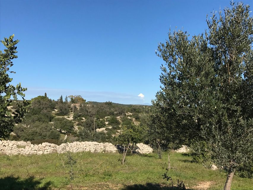 Noto: Farm to Fork in Sicily - Cooking Class in a Farm - Seasonal Sicilian Cooking You Can Copy at Home