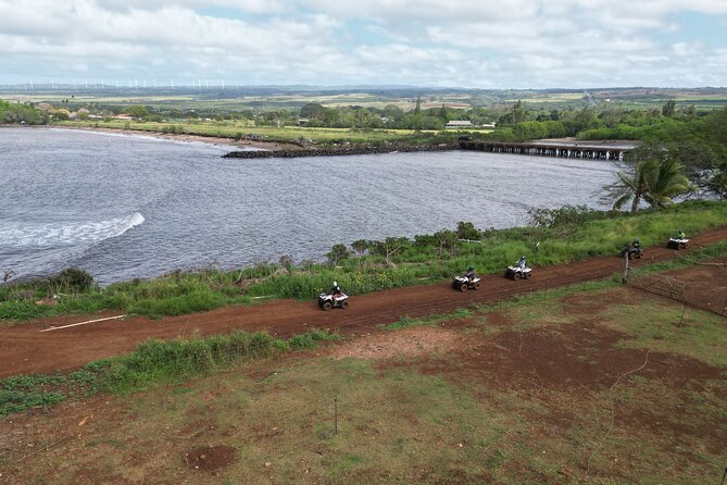 Oahu Beachfront ATV Adventure and Farm Tour - Planting one of 49 native shoreline plants: your hands-on impact