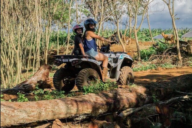 Oahu Beachfront ATV Adventure and Farm Tour - The farm life side: animals, soil care, and organic practices
