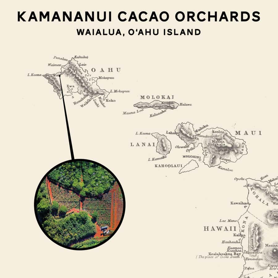 Oahu: Chocolate Farm Tour with Tasting - Kamananui Cacao - The Guides Matter: Owner Dan and Guides Like Katie, Chari, and Isa