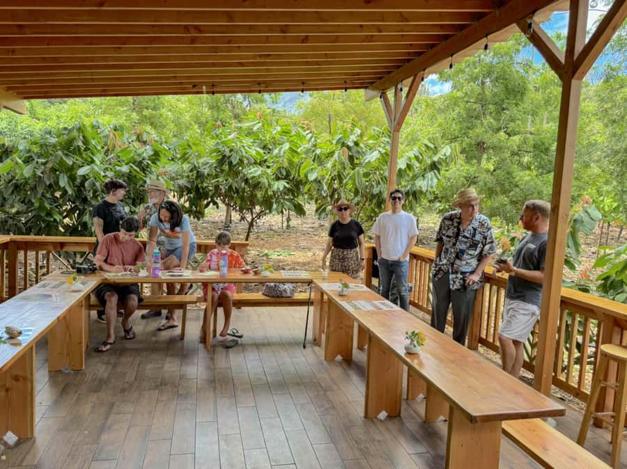 Oahu: Chocolate Farm Tour with Tasting - Kamananui Cacao - Price and Value: Is $93 Worth It?