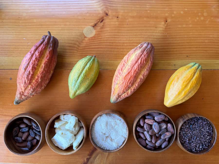 Oahu: Chocolate Farm Tour with Tasting - Kamananui Cacao - What to Bring (So You Don’t Cut Your Enjoyment Short)
