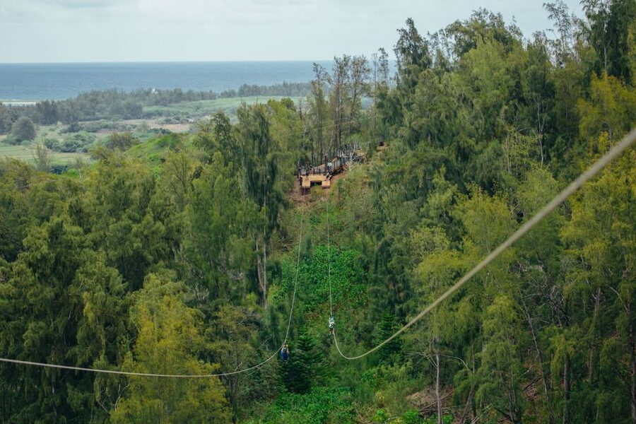 Oahu: North Shore Zip Line Adventure with ATV and Farm Tour - Price and value: is $251 per person fair for 2.5 hours?