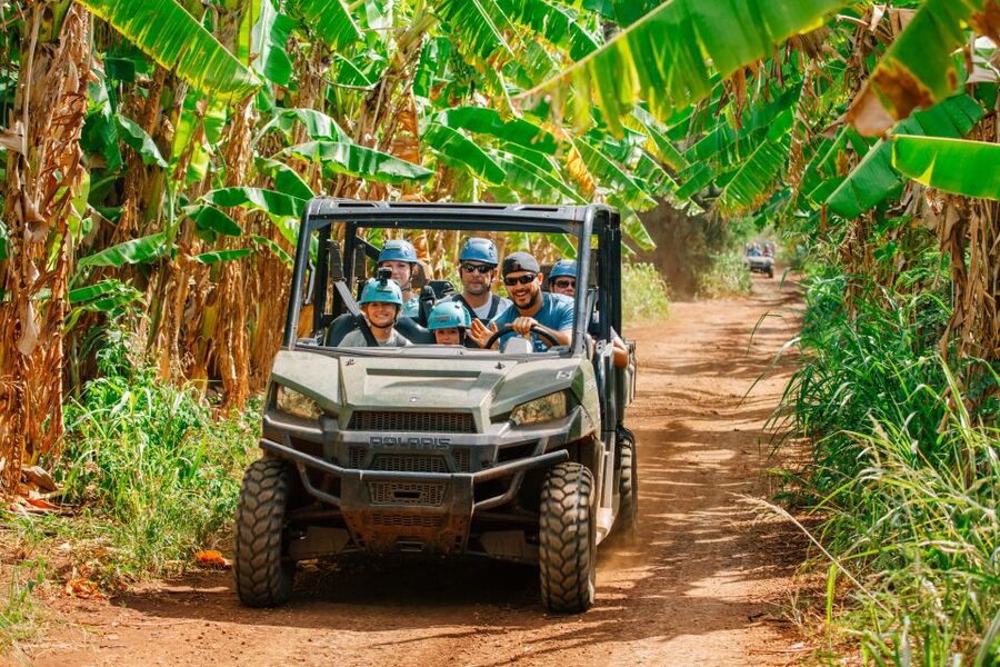 Oahu: North Shore Zip Line Adventure with ATV and Farm Tour - Who should book this and who should skip it