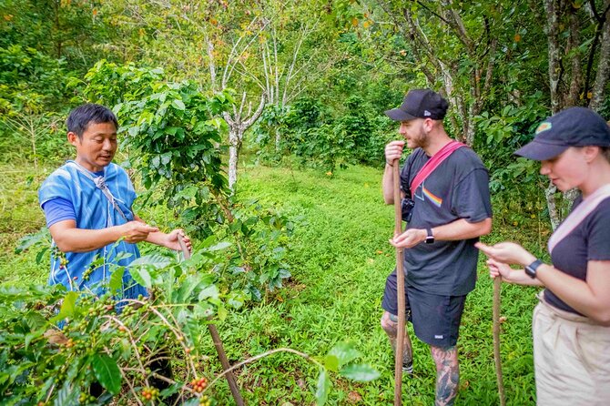 Off the Map Chiang Mai Jungle Coffee Trek Roast and Brew - Karen-Style Farm-to-Table Vegetarian Lunch (and the Taste of Simple Food)