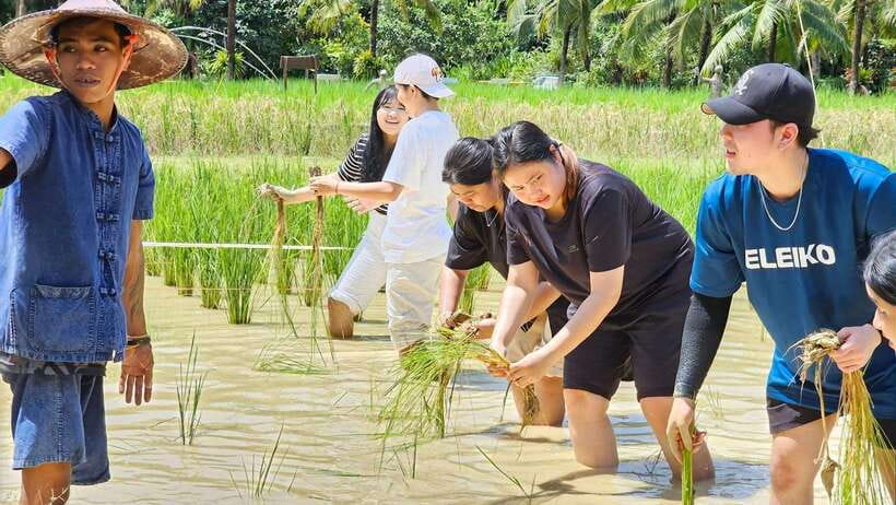 Old Phuket Farm Ticket - Countryside Local Life Culture - What you’ll likely do for the full 2 hours