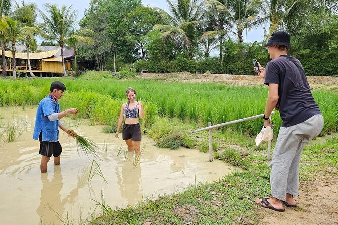 Old Phuket Farm Ticket - Countryside Local Life Culture - Rice fields: planting and harvesting the staple crop