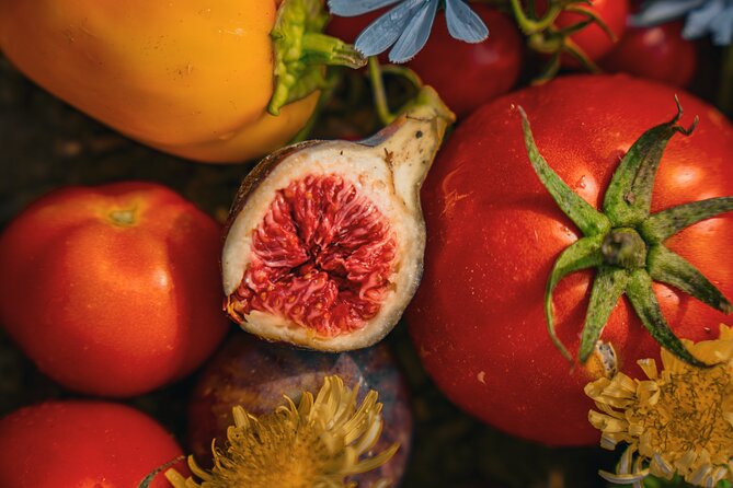 Olive farm & village - Key things to know before you go