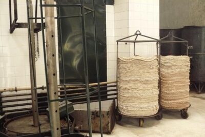 Olive Oil Farm Tour with Tasting from Seville - The 3.5-hour rhythm: pickup to tasting (and where time goes)