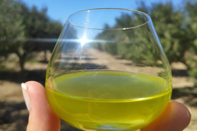 Olive Oil Tasting at the Mykonian Farm - Getting Oriented at Mykonian Farm (5:00 pm Plans Done Right)