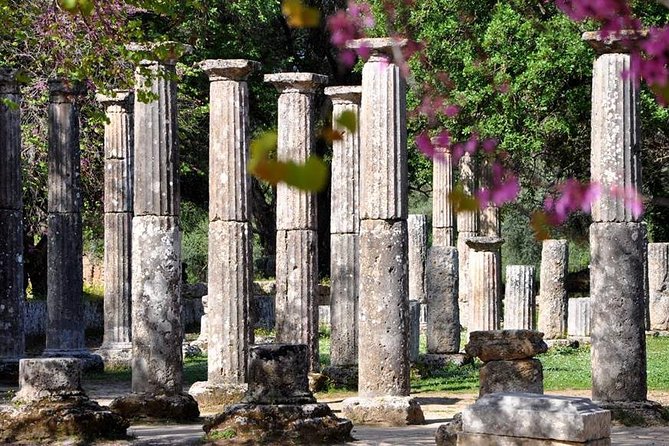 Olympia Shore Ex: Olympic site, Honey Farm & Olive Oil Tasting - Ancient Olympia Highlights: What You’ll Actually See