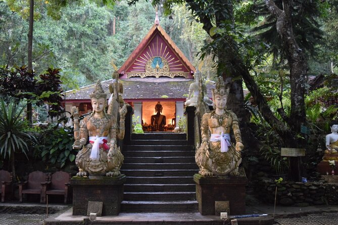 One Day Tour Doi Suthep Temple, Palad Temple, Orchid Farm, Longneck hill tribe village (Private tour) - Bai Orchid and Butterfly Farm: a quick reset with nature and color