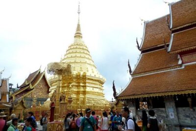 One Day Tour Doi Suthep Temple, Palad Temple, Orchid Farm, Longneck hill tribe village (Private tour) - Wat Pha Lat as your “second temple” moment