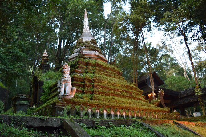 One Day Tour Doi Suthep Temple, Palad Temple, Orchid Farm, Longneck hill tribe village (Private tour) - Time on the road: what you gain with a tightly managed route