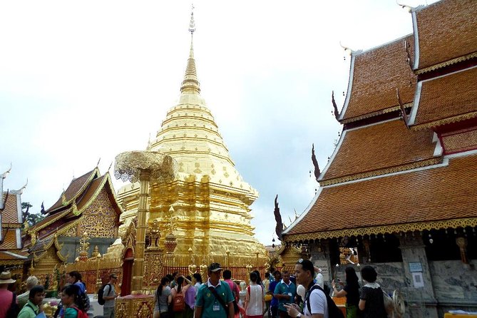 One Day Tour Doi Suthep Temple, Palad Temple, Orchid Farm, Longneck hill tribe village (Private tour) - Wat Pha Lat as your “second temple” moment