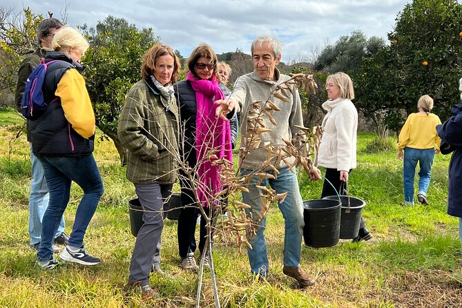 Organic Orange Picking & Jam Making with Farm-to-Table Lunch - Why Odelouca Orange Picking Feels Like a Family Visit