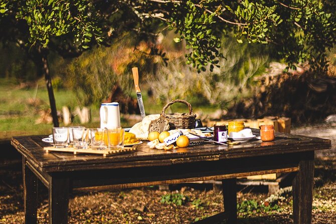 Organic Orange Picking & Jam Making with Farm-to-Table Lunch - Stop 3: Traditional Algarvian Lunch at the Table