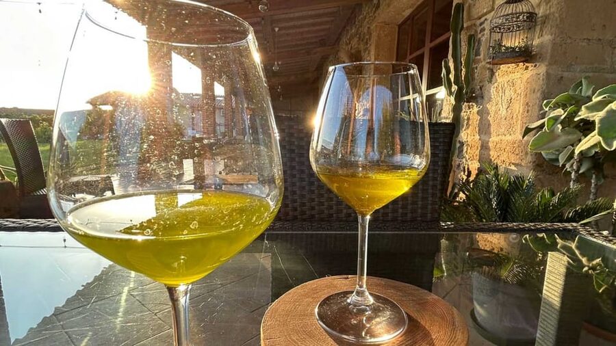 Oristano: visit a farm with oil tasting - Key Points at a Glance