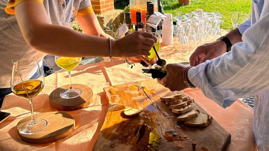 Oristano: visit a farm with oil tasting - A Fifth-Generation Olive Oil Lesson Outside Oristano
