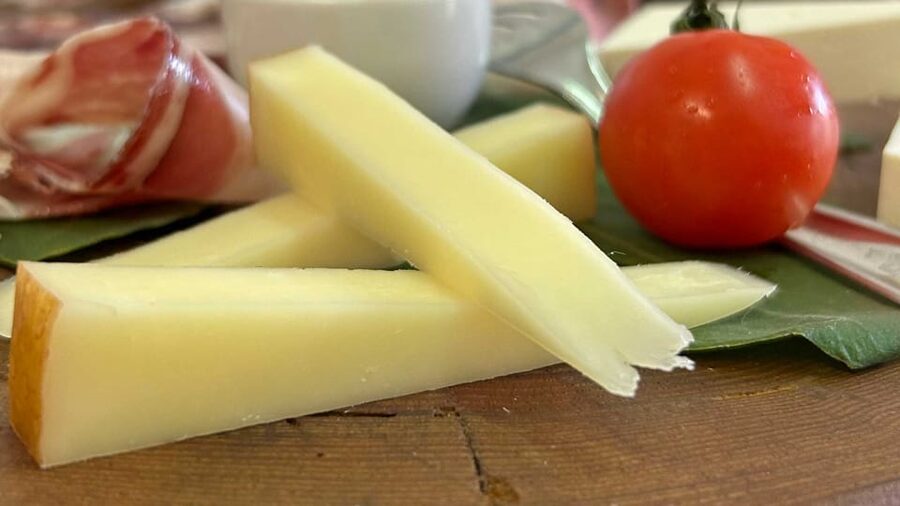 Oristano: visit a farm with oil tasting - Tasting in the Historic Manor House: What You Actually Get