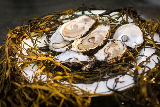 Oyster Farm and Tasting Experience - Practical Tips That Make the Day Easier