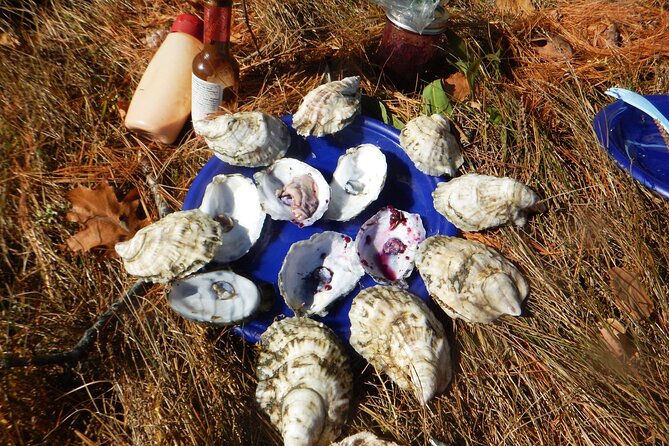 Oyster Farm & Complimentary Tasting Sea Kayak Tour in Casco Bay - Morning Setup at 1161 Mere Point Rd: Gear, Fit, and Paddling Basics