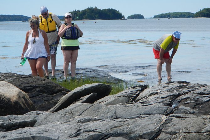 Oyster Farm & Complimentary Tasting Sea Kayak Tour in Casco Bay - Oyster Farming Basics: Why These Shellfish Matter to the Water