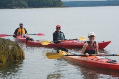 Oyster Farm & Complimentary Tasting Sea Kayak Tour in Casco Bay - On the Water Lessons: Wildlife, Lobster Work, and Local Bay History