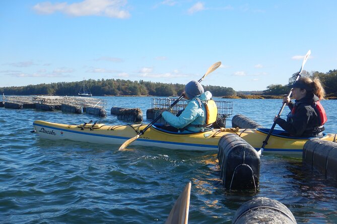 Oyster Farm & Complimentary Tasting Sea Kayak Tour in Casco Bay - Wildlife, Photos, and the Real Sea-Kayak Pace