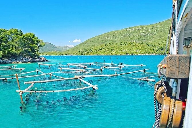 Oyster farm experience / Private day trip from Dubrovnik - Key Highlights You’ll Feel From the Start