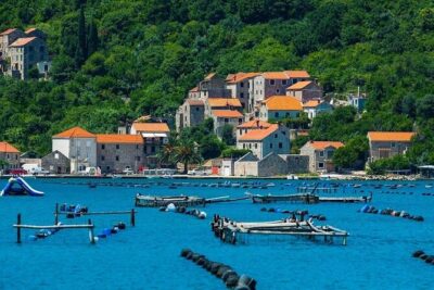 Oyster farm experience / Private day trip from Dubrovnik - Ston Walls and Old Salt Story: A Walk With Real Scale