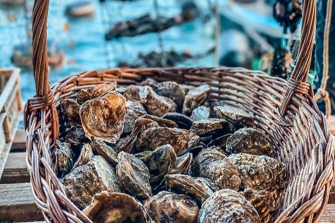 Oyster farm experience / Private day trip from Dubrovnik - Who This Tour Suits Best (and Who Might Find It a Stretch)