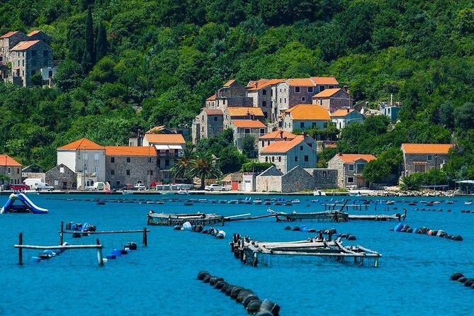 Oyster farm experience / Private day trip from Dubrovnik - Ston Walls and Old Salt Story: A Walk With Real Scale