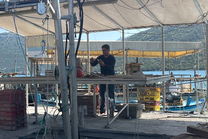 Oyster Farm, Ston and Winery Tour - Oyster farm time in Ston: five oysters plus one wine match