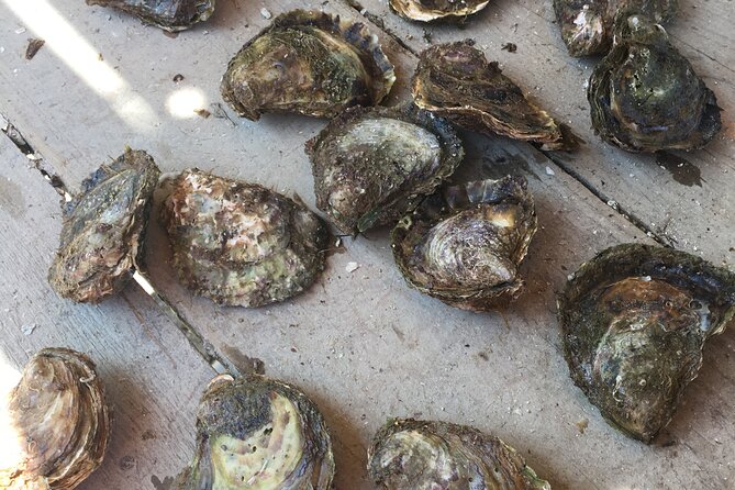 Oyster Farm, Ston and Winery Tour - After oysters: the second winery stop and how to use your Ston free time